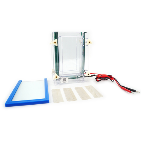 北京六一DYCZ-28D雙板夾芯式垂直電泳儀電泳槽(大號) 蛋白凝膠電泳